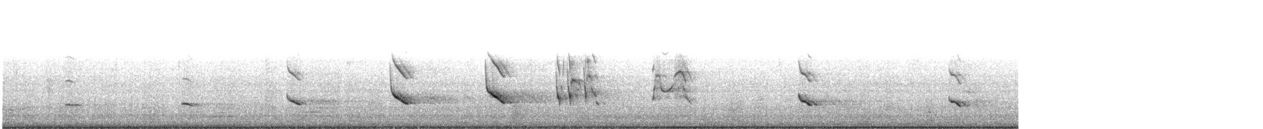 ミサゴ（carolinensis） - ML647733605