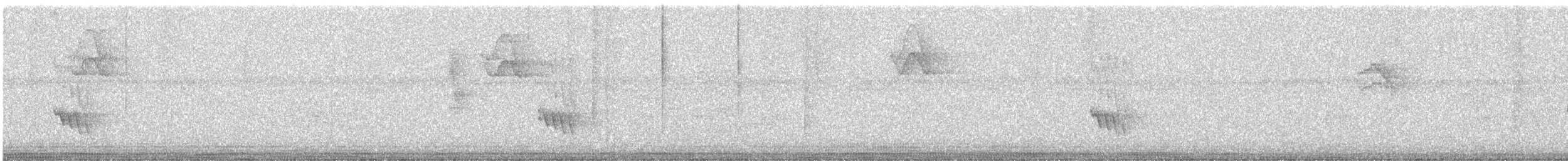 Pabuç Gagalı Tiran - ML647734193