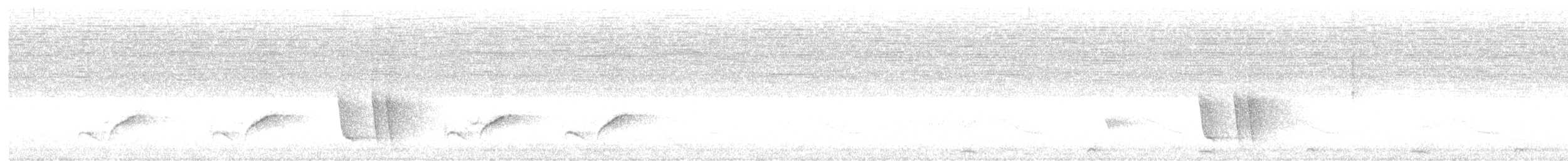 White-browed Robin - ML647734734