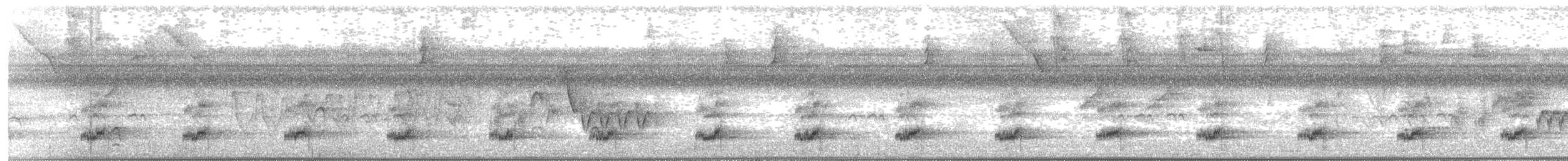 regnbuetukan - ML647735555