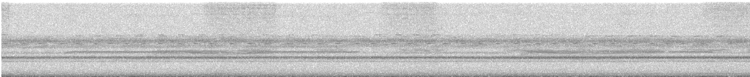 Tennessee Warbler - ML647735809