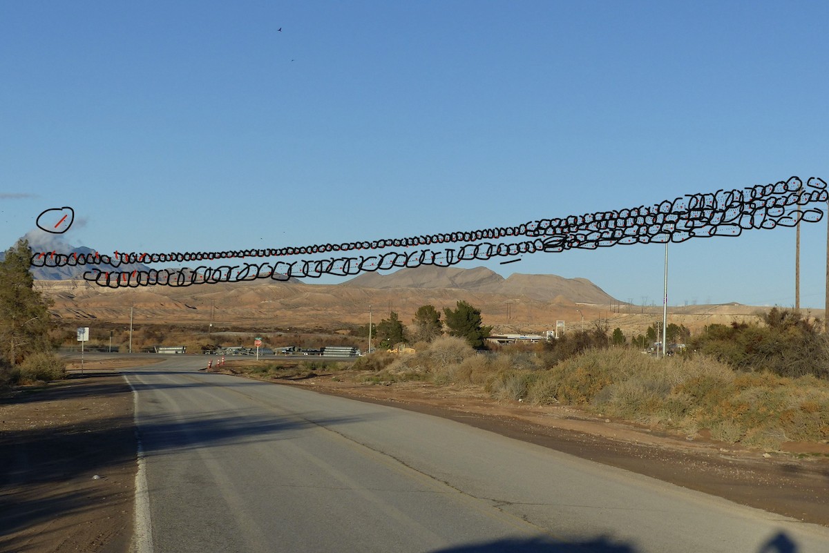 Red-winged Blackbird - ML647736067