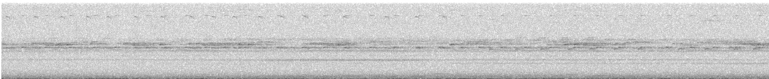 Gartered Violaceous Trogon - ML647736108