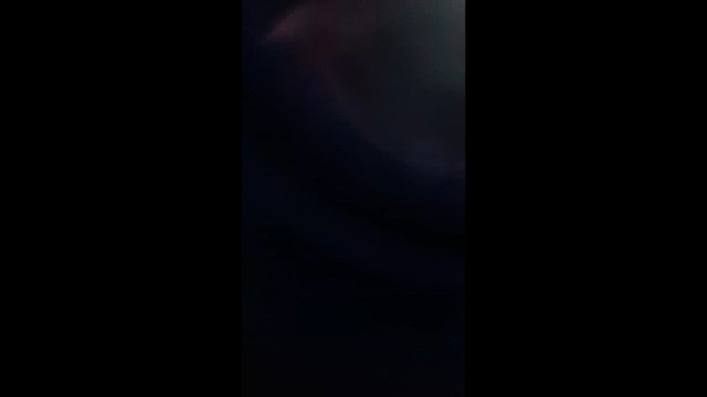 Беркут - ML647736219