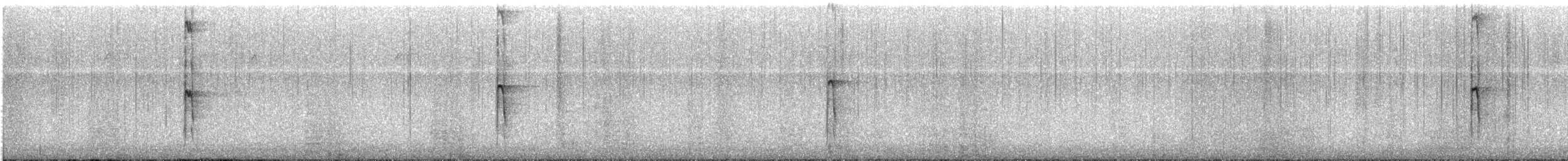 strakapoud americký - ML647736825