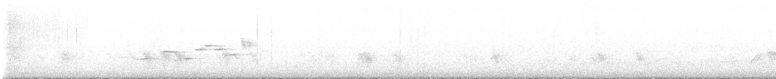 白喉短翅鶇 - ML647736902