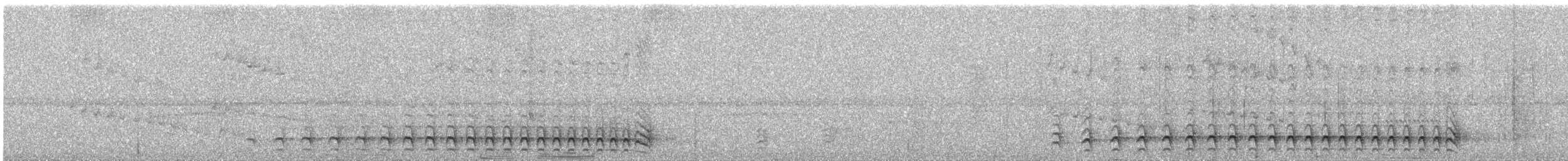 Lined Antshrike - ML647737455