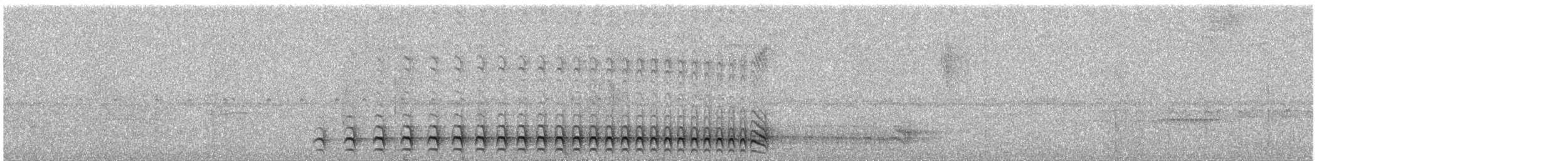 Lined Antshrike - ML647737466