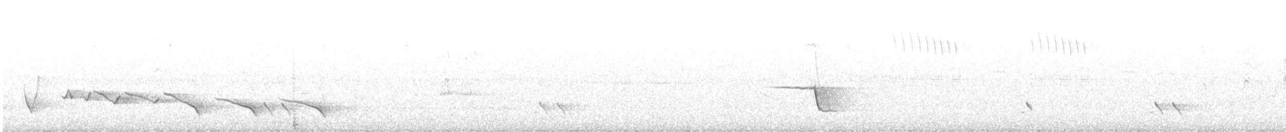 Rufous Whistler - ML647738247