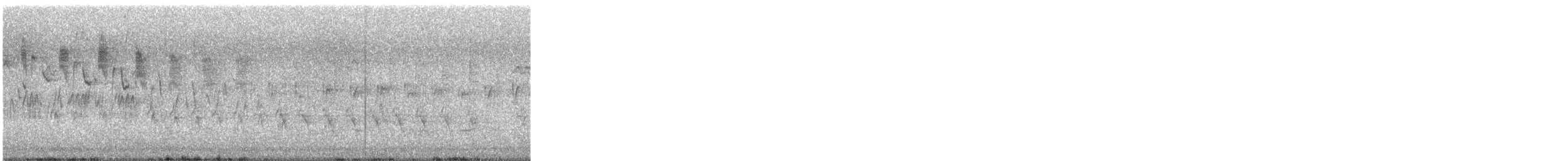 White-winged Triller - ML647738542