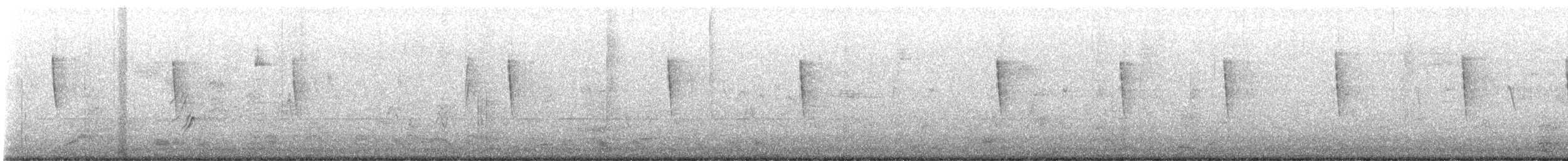 Grace's Warbler - ML647738665