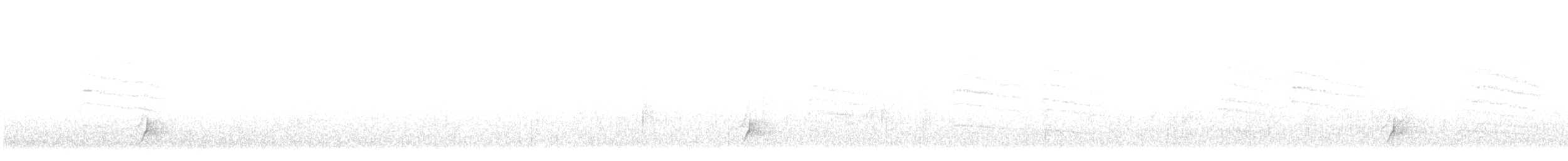 Brown-crested Flycatcher - ML647739642