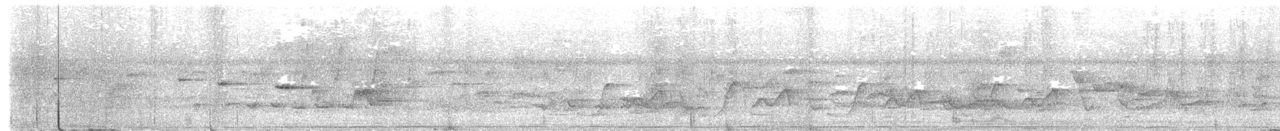 シロシリモズヒタキ - ML647739711