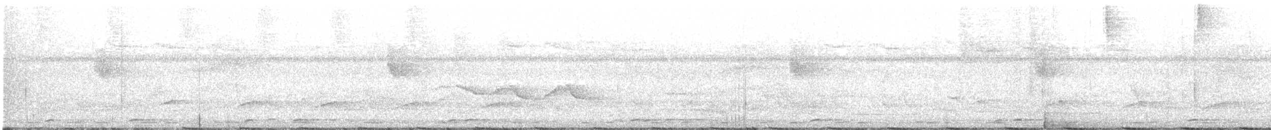 シラボシガラ - ML647739729