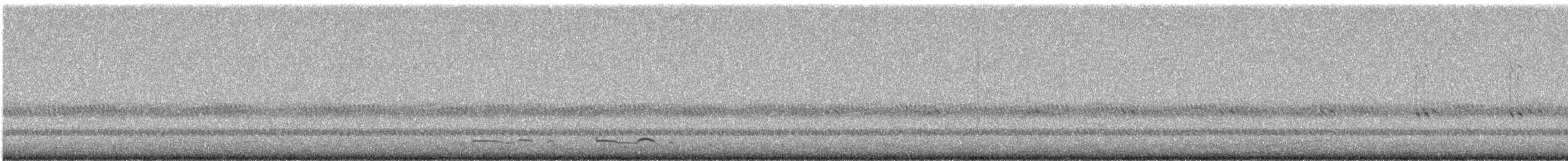 プアーウィルヨタカ - ML647739736