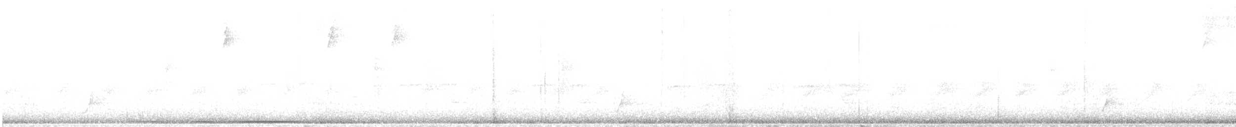 White-tipped Dove - ML647739966