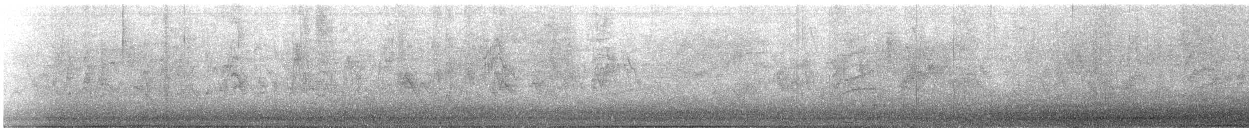 Pine Siskin - ML647739975