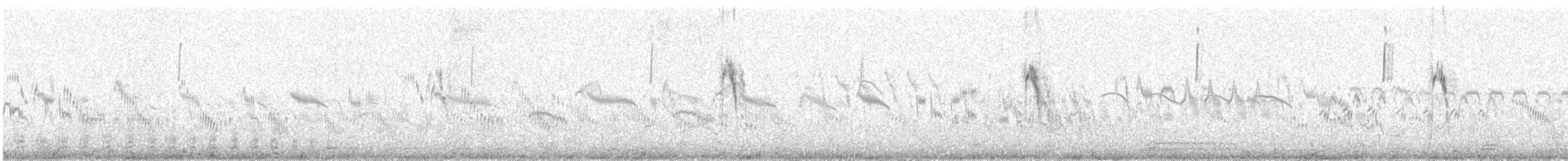 Citrine Wagtail - ML647740660