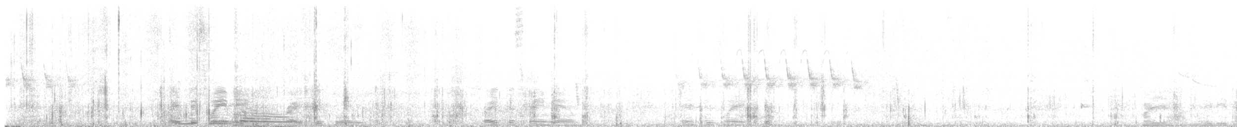 Sittelle à poitrine blanche - ML647740999