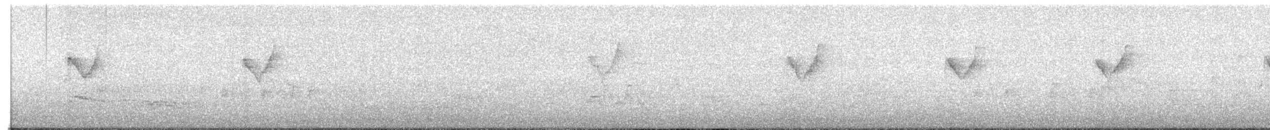 Yellow-browed Warbler - ML647741518