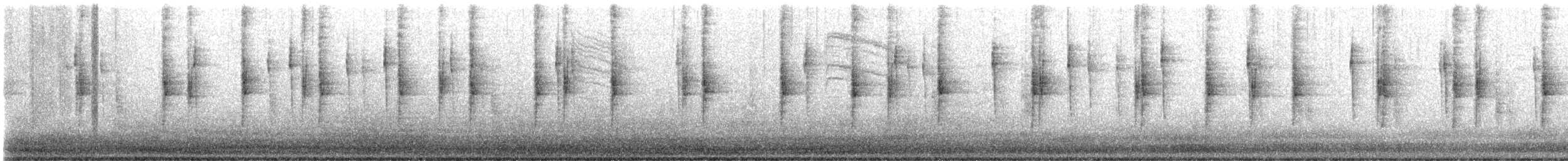 Northern Waterthrush - ML647741583