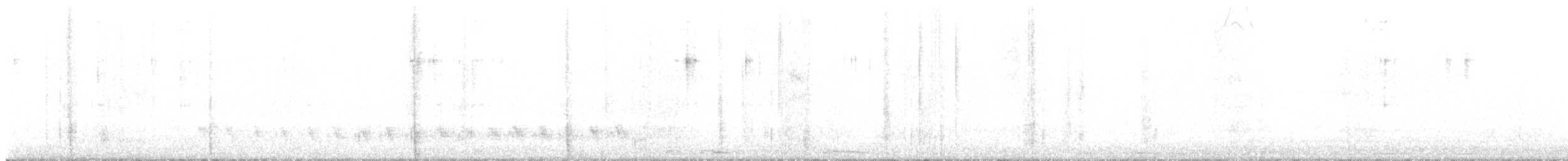 Tourterelle à ailes blanches - ML647741921