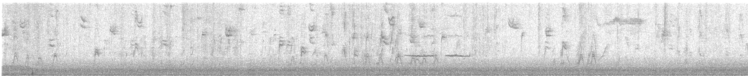 White-crowned Sparrow - ML647742079