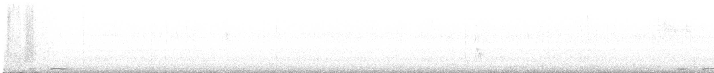 White-winged Dove - ML647742091