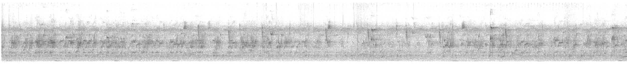 Mexican Parrotlet - ML647742165