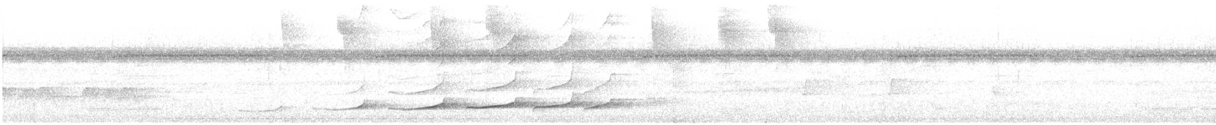 Northern Barred-Woodcreeper - ML647742273