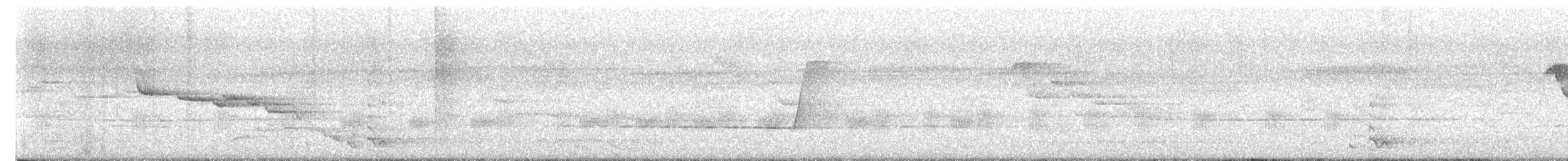 クレナイミツスイ - ML647743211