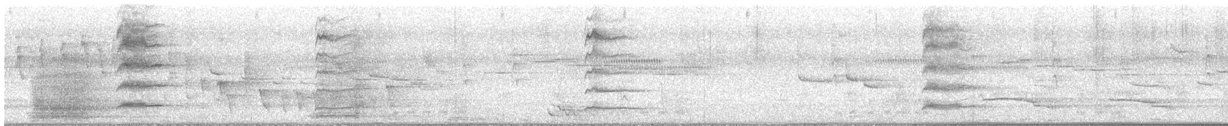 ネッタイバン - ML647743303