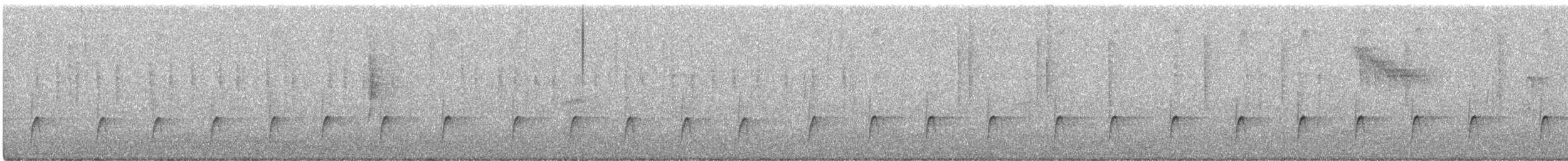 メキシコヒタキモドキ - ML647743377