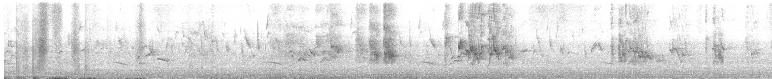 Yellow-collared Lovebird (Domestic type) - ML647743515