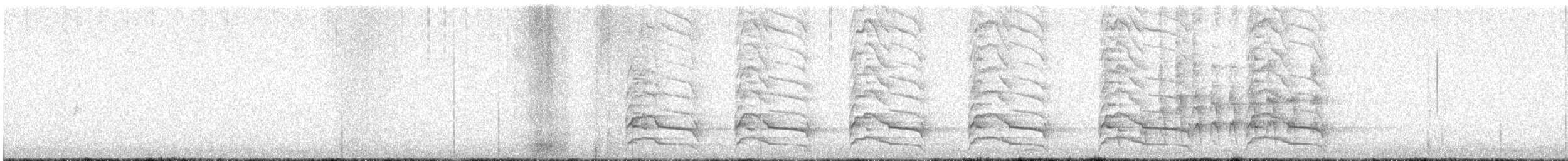 カタアカノスリ（elegans） - ML647743692