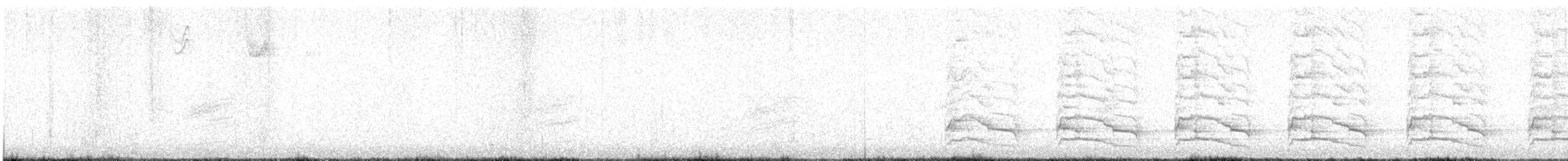 カタアカノスリ（elegans） - ML647743694