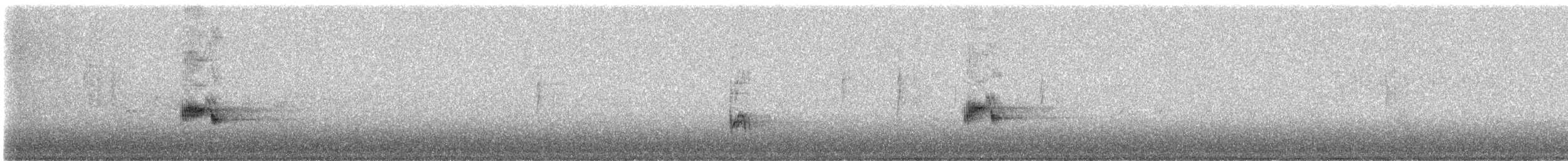 コウラウン - ML647743701