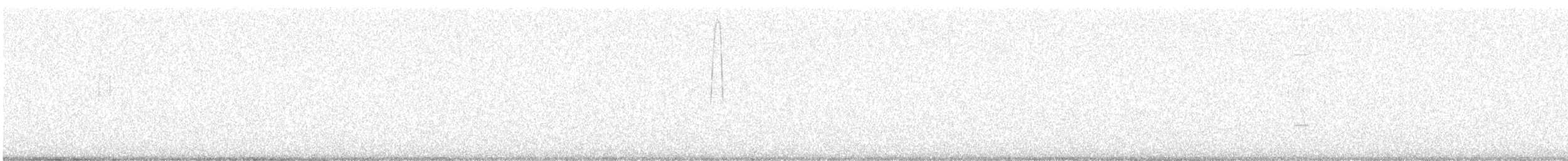 Bécasse des bois - ML647744578