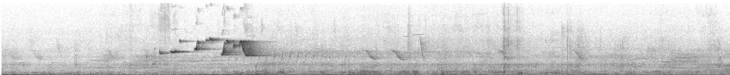 Rhipidure hochequeue - ML647744831