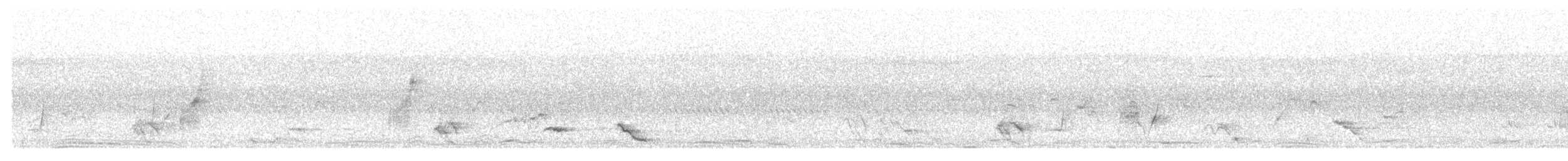 Monarque infatigable - ML647744837