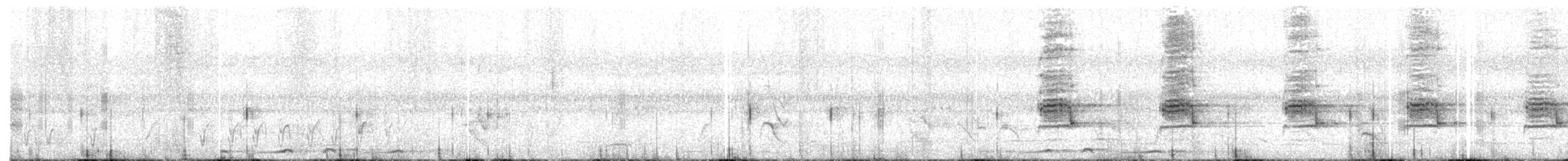 Géopélie à nuque rousse - ML647744840