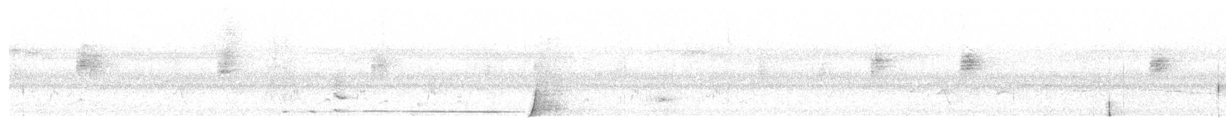 Psophode à tête noire - ML647744841