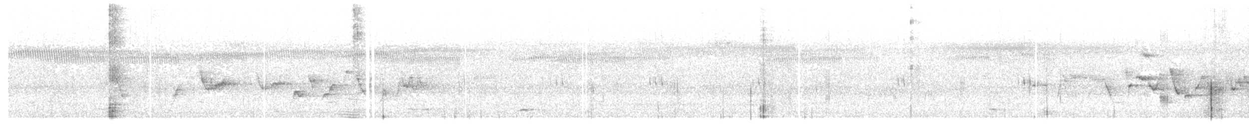 Zostérops à dos gris - ML647744900