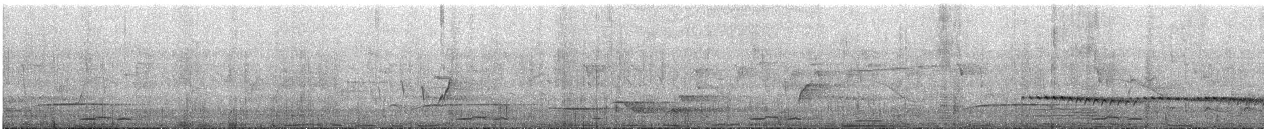 Géopélie placide - ML647745030