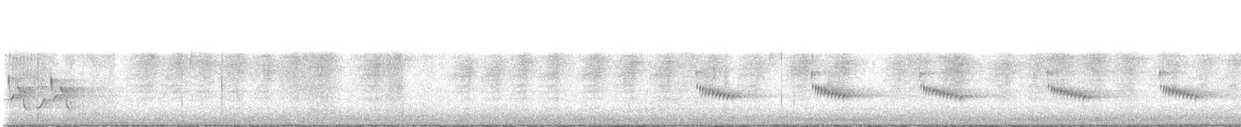 Carolina Wren - ML647745628