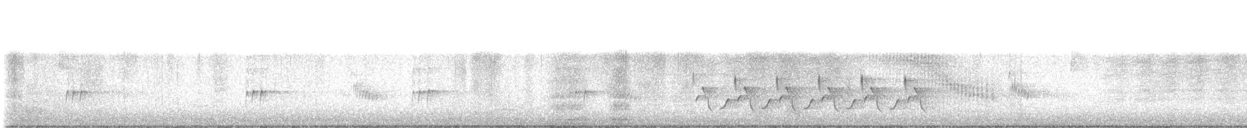 Carolina Wren - ML647745643