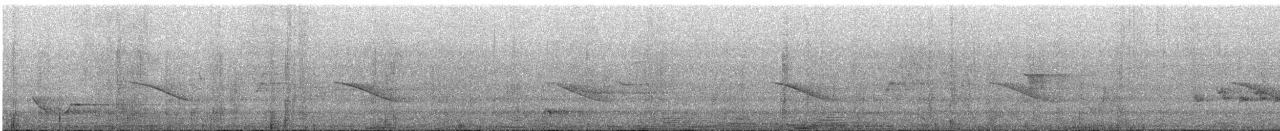 Horsfield's Bronze-Cuckoo - ML647745671