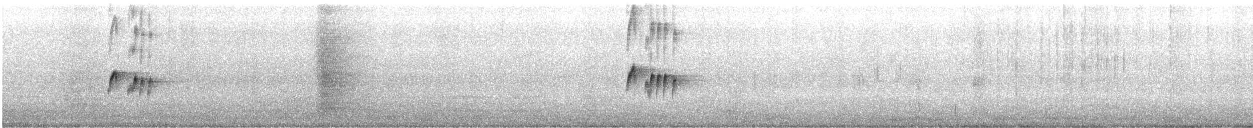 Tropical Kingbird - ML647745760