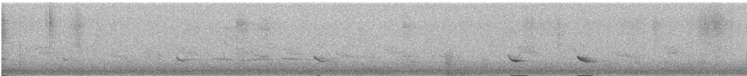 Klaas's Cuckoo - ML647746124