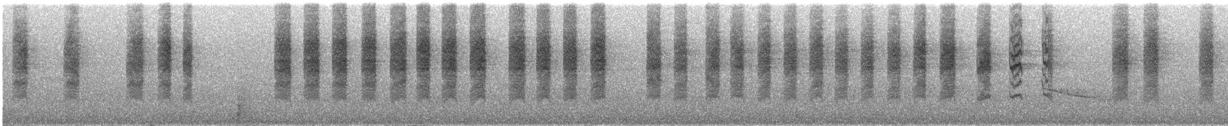 White-browed Scrubwren - ML647746221